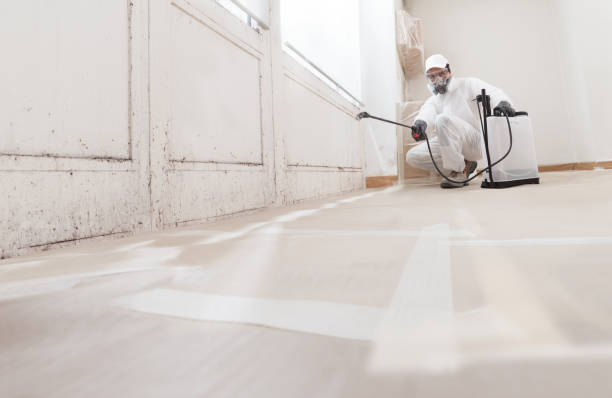 24/7 Emergency Commercial Mold Remediation experts in Fulton, TX