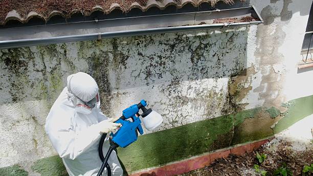 Trusted Commercial Mold Remediation service in Fulton, TX - Cheap Mold Removal
